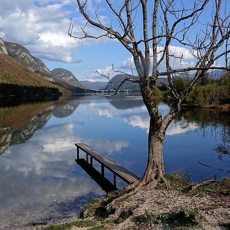 Boutique House Vresje Villa Bohinjska Bistrica Dış mekan fotoğraf