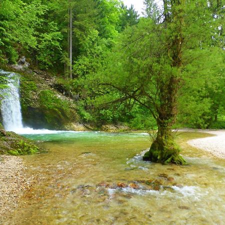 Boutique House Vresje Villa Bohinjska Bistrica Dış mekan fotoğraf