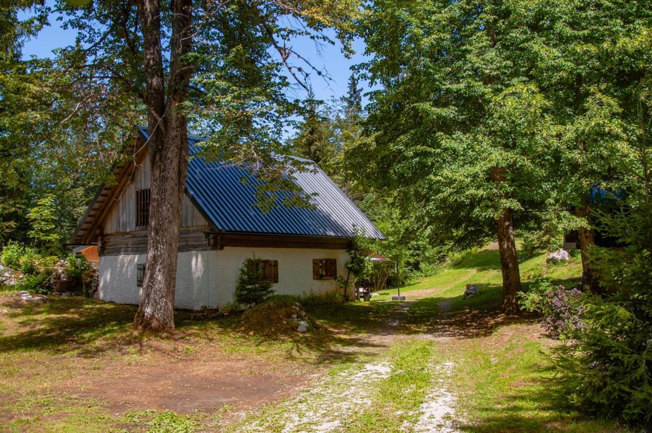 Boutique House Vresje Villa Bohinjska Bistrica Dış mekan fotoğraf