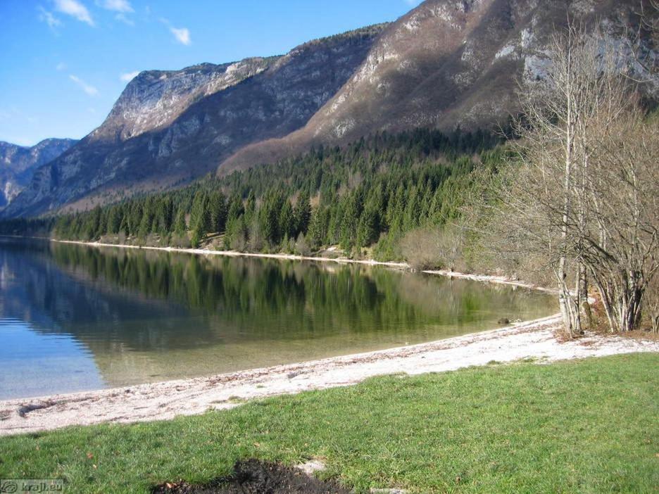 Boutique House Vresje Villa Bohinjska Bistrica Dış mekan fotoğraf
