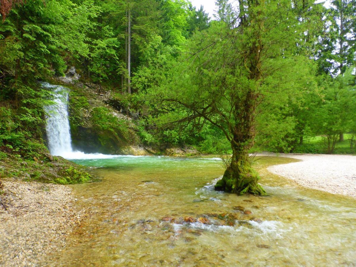 Boutique House Vresje Villa Bohinjska Bistrica Dış mekan fotoğraf